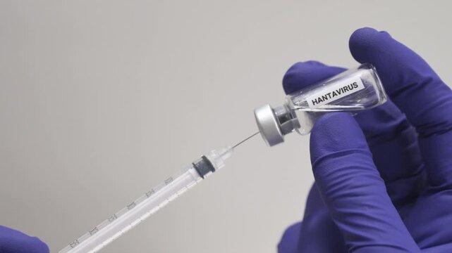 Scientist wearing blue latex gloves drawing hantavirus vaccine from a vial into a syringe