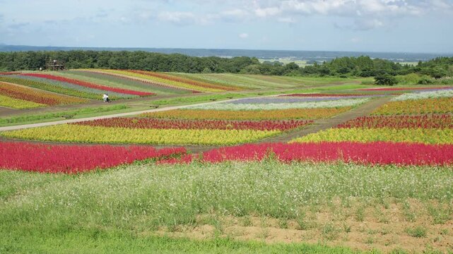 虹色ガーデン ふるるの丘 Rainbow Garden Fururu Hill Japan