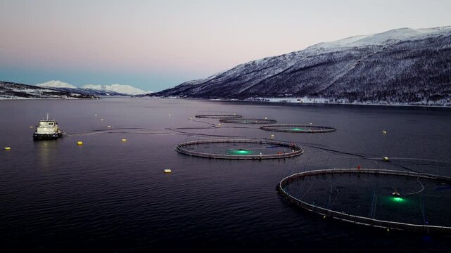 Polar night drone view of Ringvassoya salmon farm with glowing round marine pens