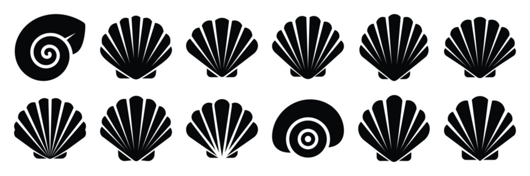 Summer beach icon set with seashell 12 black silhouette icons.