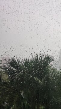 Raindrops on Window Pane with Blurred Tropical Background