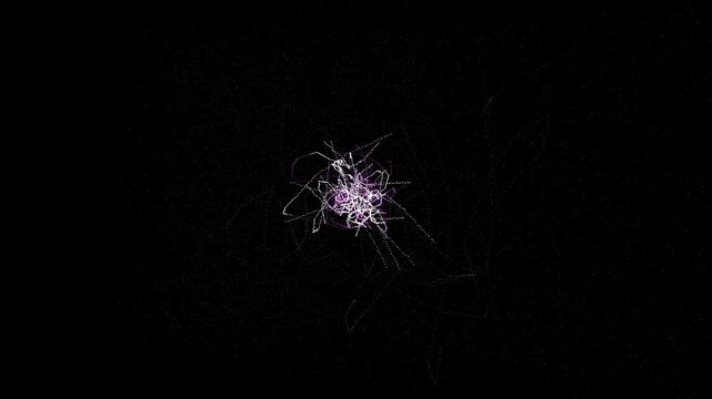 cosmic string network