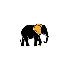 Fototapeta premium Black Elephant with Orange Ears.