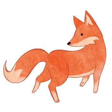 red fox cartoon illustration looking back standing watercolor
