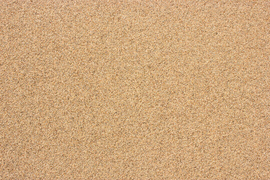 Sand dunes and beach texture background. Summer beach concept