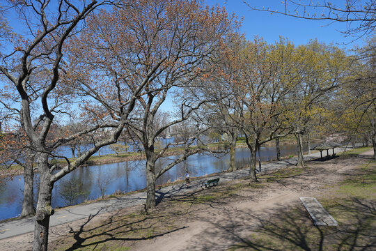 Boston, recreational path along the Charles River Esplanade with trees in springtime