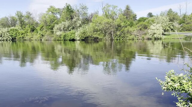Calm Lake on a Spring Morning