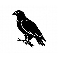 Fototapeta premium America Bald Eagle (Haliaeetus leucocephalus)