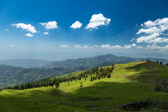 View of Ganga Choti peak and lush green meadows with scattered pine trees under a clear blue sky with white clouds in Bagh, Azad Kashmir, Pakistan.
