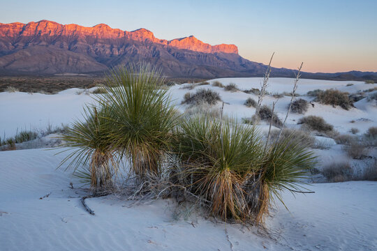 Guadalupe Mountains National park landscape, mountains and sand dunes