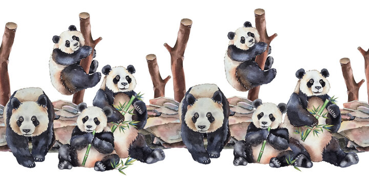 Watercolor seamless panda border with playful bears climbing branches sitting on stones and holding bamboo. Illustration for packaging childrens products textiles wallpaper zoo and eco-friendly.