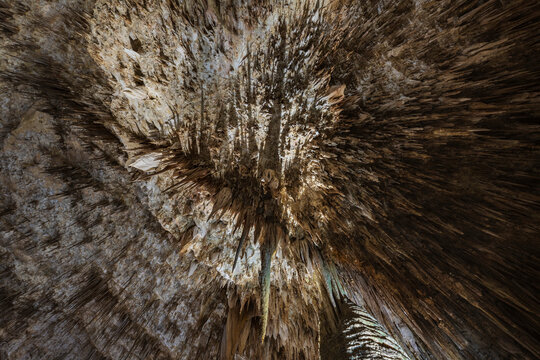 Spectacular limestone ceiling, stalagmites and stalagtites in the Great Room limestone cave.