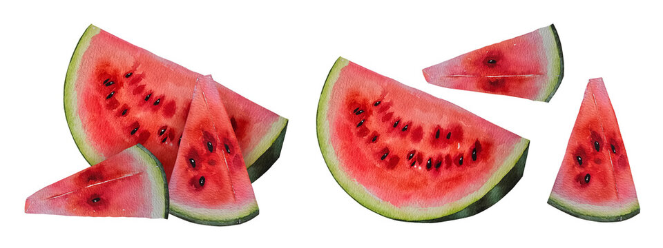 Watercolor illustration set of a red watermelon slices with green rind in a realistic style. Illustration for packaging, summer products, food branding, menus, prints and advertising.