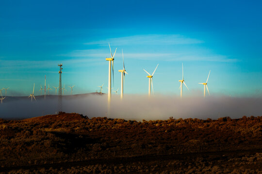 Wind turbines emerging from fog at Ryegrass Pass along Interstate 90