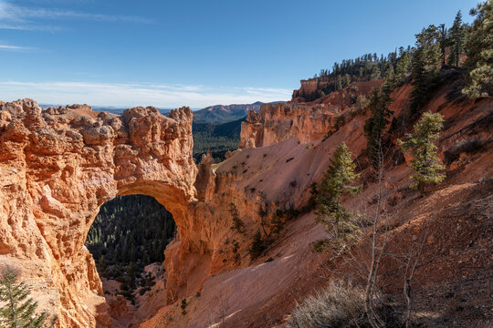Natural Bridge rock arch in Bryce Canyon National Park, Utah, with red sandstone hoodoos and pine-covered canyon under blue sky.