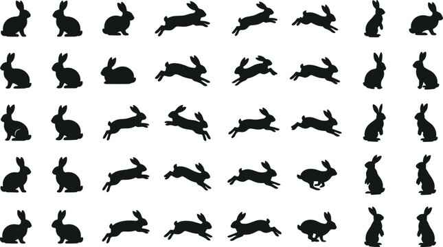 Rabbit silhouette collection, bunny vector set, jumping hare icons, standing rabbit shapes, easter animal silhouettes, black rabbit outlines for design.