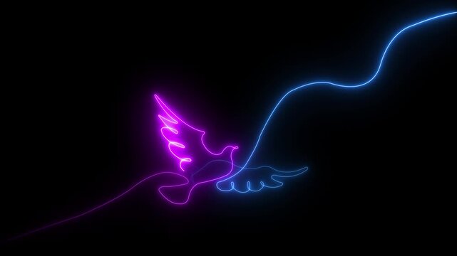 Flying bird, pigeon self drawing animation. Animated blue yellow line on black background motion animation 4k video...