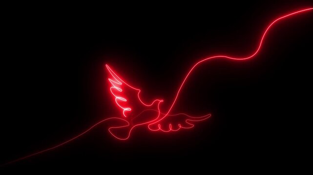 Flying bird, pigeon self drawing animation. Animated red line on black background motion animation 4k video...