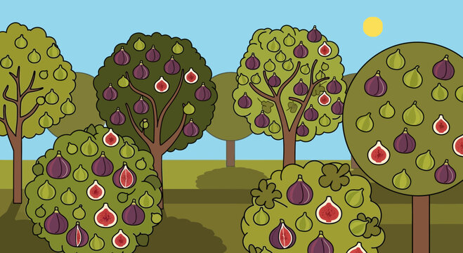 Cartoon fig trees with ripe fruit in a sunny outdoor setting
