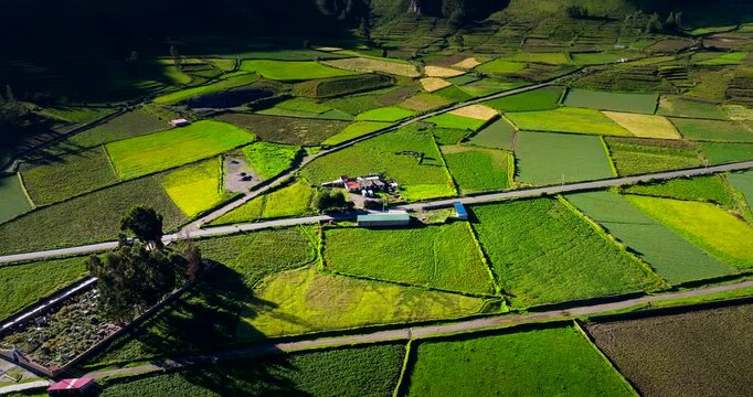 Patchwork farm land agricultural fields of Colca Canyon, Chivay. Aerial view