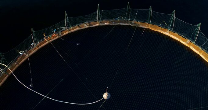 Net of circular salmon farm pen during golden light of midnight sun in Gratangen, Norway. Aerial top down view, copy space