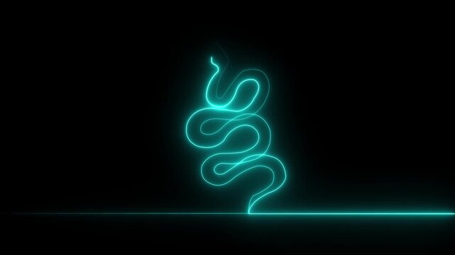 Snake outline self drawing animation. Grey on black background motion animation 4k video...