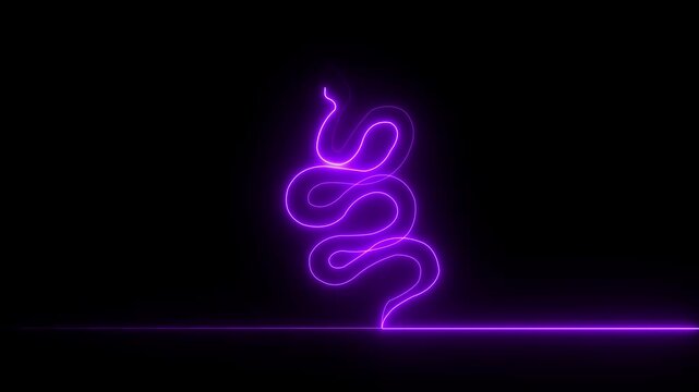 Snake outline self drawing animation. Grey on black background motion animation 4k video...