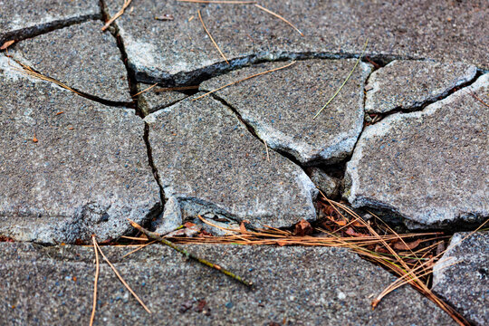 Cracked concrete pavement slabs on a sidewalk