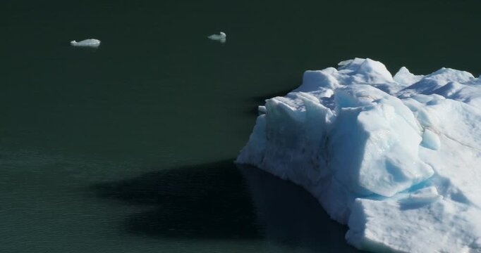 Iceberg calved from Dawes Glacier, floating in Endicott Arm Fjord, Alaska.