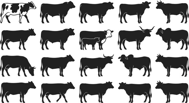 collection of cow silhouettes in various poses and breeds isolated on white background