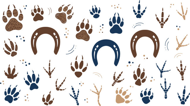 Animal tracks and horseshoe illustration collection featuring paw prints, bird footprints, wildlife patterns, and nature inspired design elements