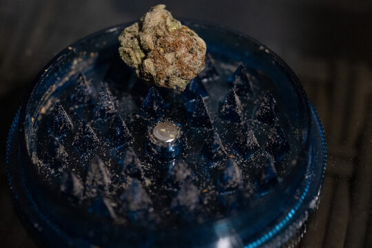 Cannabis bud sitting on a blue grinder with kief