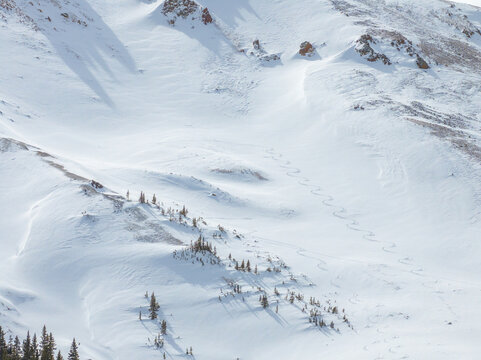 View of snow-covered mountain slopes with zigzag ski tracks and sparse evergreen trees under bright sunlight in Colorado, United States.