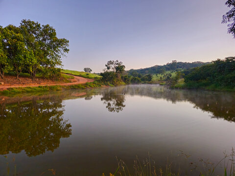 Pristine Natural Spring with Buriti Palms in the Brazilian Cerrado Savanna