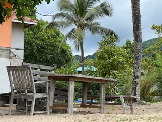 Fototapeta premium Old, dilapidated wooden table with bench and chairs on the beach with palm tree in the background