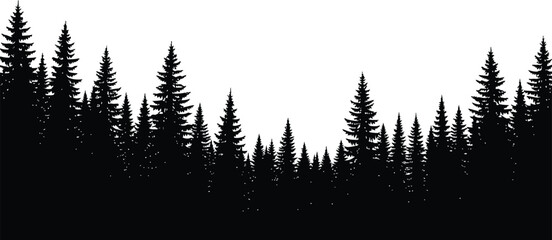 Silhouette of tall pine trees on a white background © Jobax