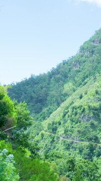Scenic view of the levada das 25 fontes hiking trail in madeira