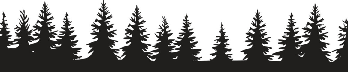 Pine tree forest, evergreen spruce foliage, nature silhouettes, mountain timber, winter woods, cedar plant, wilderness landscape, coniferous greenery © MstTanzina