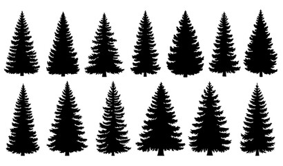 Fototapeta premium Pine and spruce tree silhouette vector set evergreen forest nature collection isolated