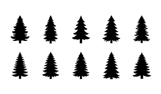 Minimal pine spruce tree silhouette vector set forest nature infographic icons