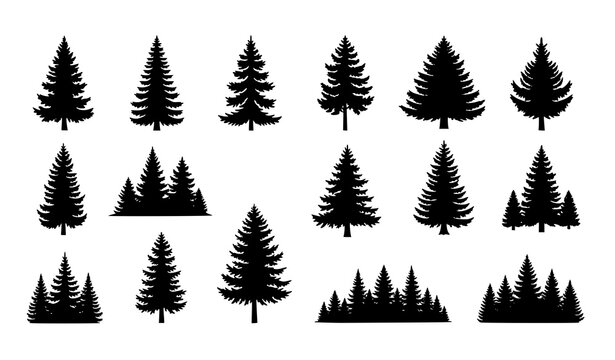 Evergreen forest tree silhouette vector set pine spruce woodland nature icons