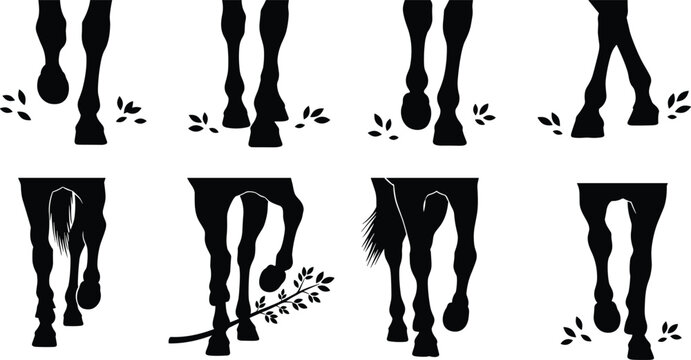 Vector collection of solid black silhouettes depicting elegant horse legs and hooves in various walking poses with small leaf elements isolated on a white background.