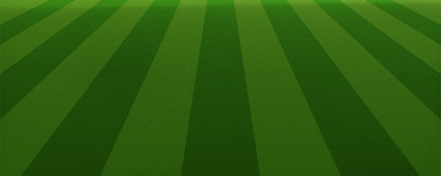 Fresh green lawn with stripes as background, top view