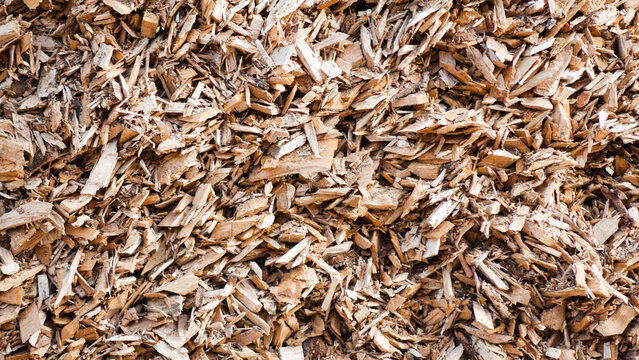 close-up of brown and yellow wood chips