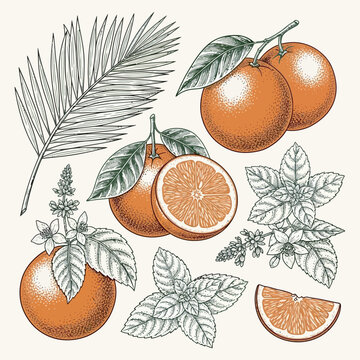orange fruit background