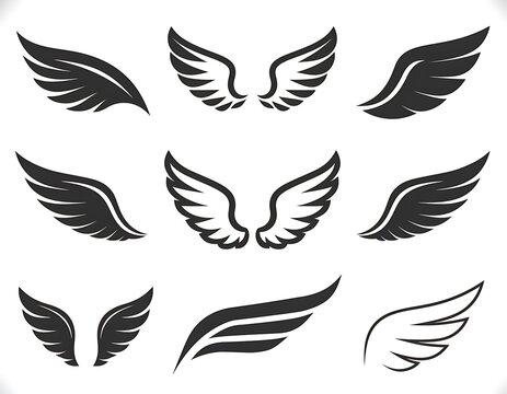 Set of Various Angel and Bird Wing Icons.