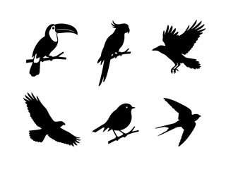 Fototapeta premium Set of six black silhouette birds flying and perched on branches isolated on transparent background, Vector