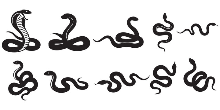 Serpentine Silhouettes: An array of elegantly drawn, dark serpentine silhouettes showcasing a range of shapes and poses. These intricate designs capture the essence of snake forms.