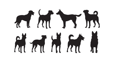 Obraz premium Collection of various breeds of dogs sitting and standing in different poses isolated on a white background vector graphic.