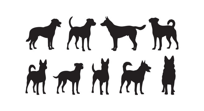 Collection of various breeds of dogs sitting and standing in different poses isolated on a white background vector graphic.